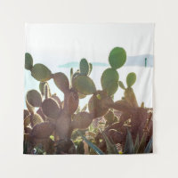 Leaves of cactus. Plant outdoor with flare light i