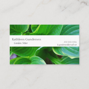 Leaves of hosta plants business card