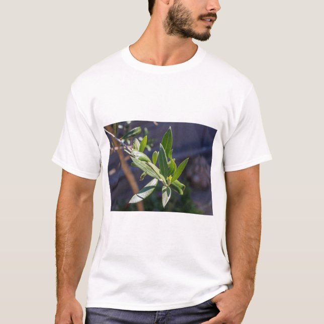 Leaves of olive tree T-Shirt (Front)