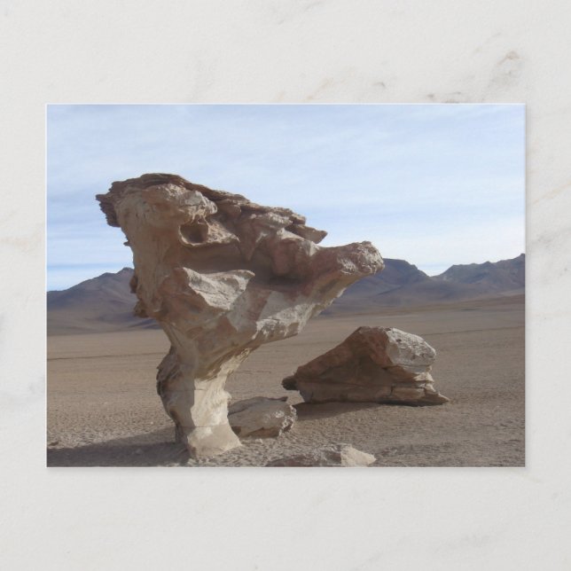 Leaves Of Stone Postcard (Front)