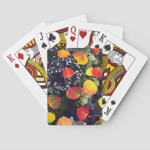 Leaves on a lichen covered rock, Rocky Mountains Playing Cards