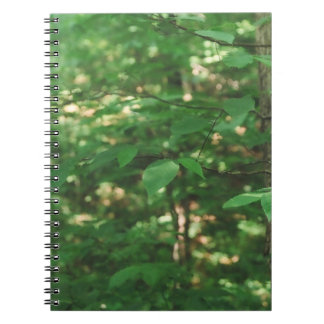 "Leaves on a tree..." Nature Photograph Notebook