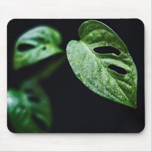 Leaves, Plant, Nature Mouse Mat