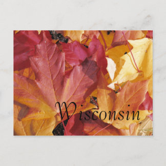 Leaves Postcard