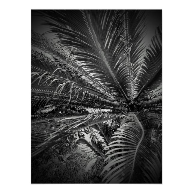 Leaves Poster (Front)