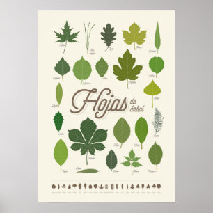 Leaves Poster