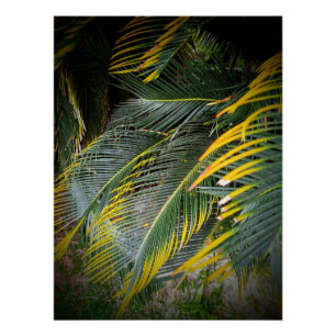 Leaves Poster