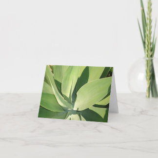 Leaves & Shadows v2 Card