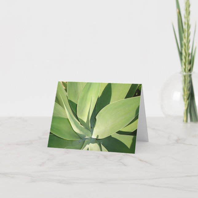 Leaves & Shadows v2 Card (Front)