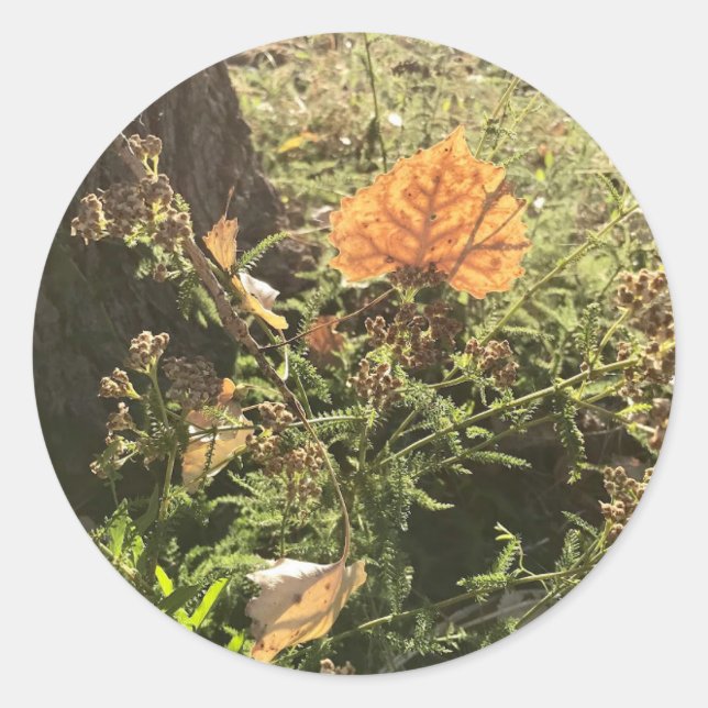 Leaves Stickers (Front)