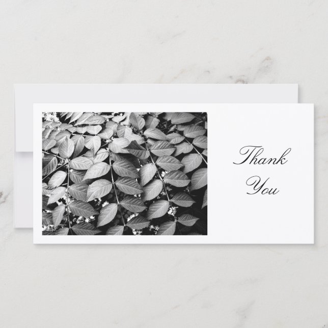 Leaves - Thank You (Front)