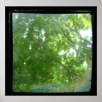 Leaves TTV
