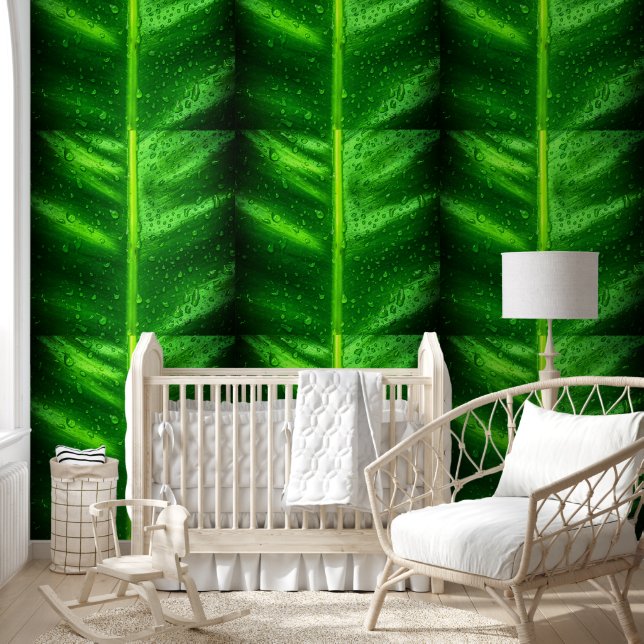 Leaves with Rain Drops Wallpaper (Kids)
