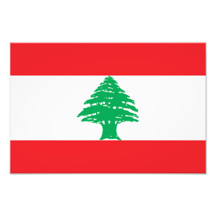 Lebanon Flag Photo Print