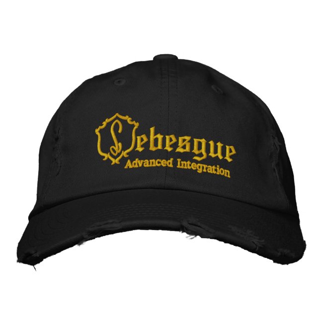 Lebesgue Integration Embroidered Hat (Front)