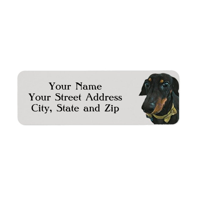 LeBron the Dachshund Address Labels (Front)