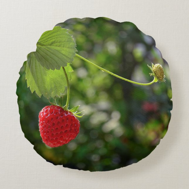 Leckere Erdbeer Zeit Round Cushion (Front)