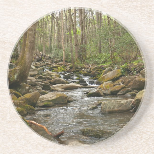 LeConte Creek at Great Smoky Mountains Coaster (Front)