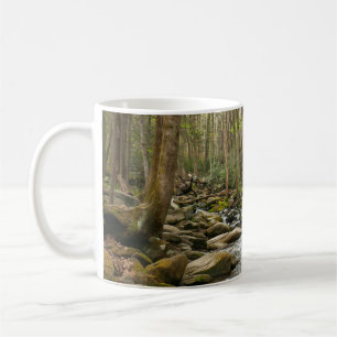 LeConte Creek at Great Smoky Mountains Coffee Mug