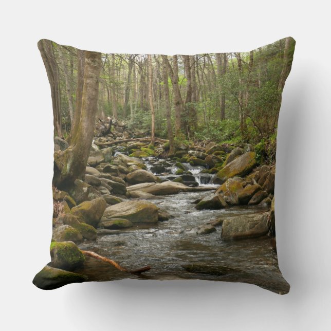 LeConte Creek at Great Smoky Mountains Cushion (Front)