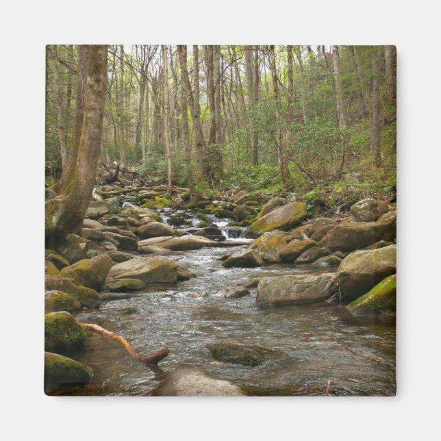 LeConte Creek at Great Smoky Mountains Magnet (Front)