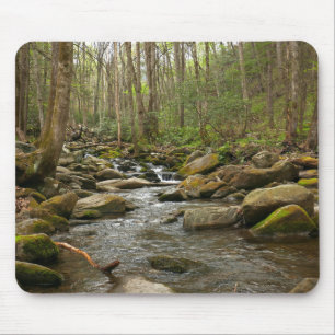 LeConte Creek at Great Smoky Mountains Mouse Mat