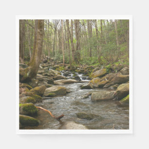 LeConte Creek at Great Smoky Mountains Napkin