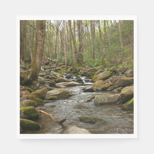 LeConte Creek at Great Smoky Mountains Napkin (Front)