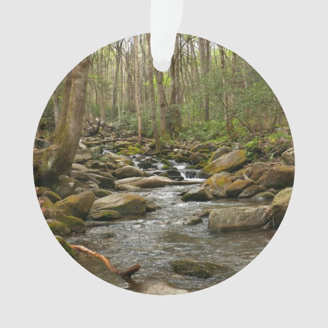 LeConte Creek at Great Smoky Mountains Ornament (Front)