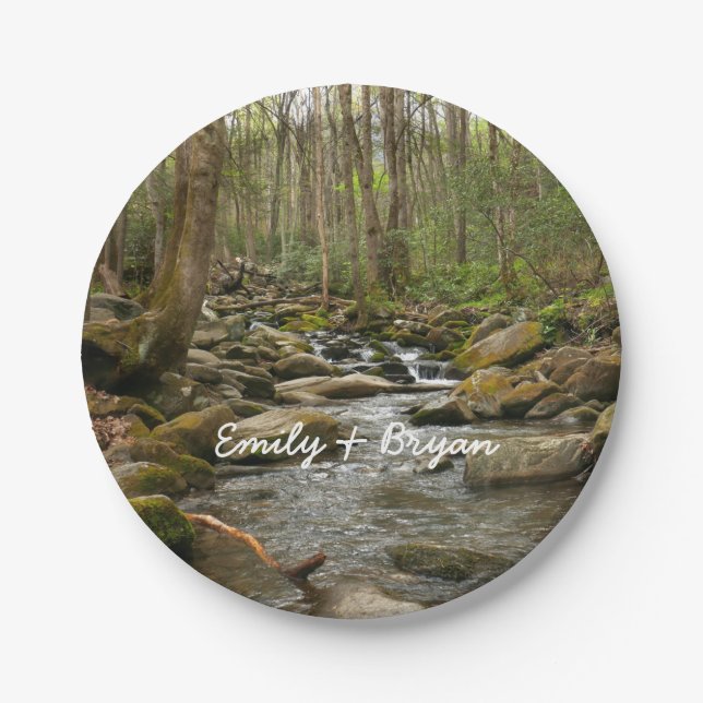 LeConte Creek at Great Smoky Mountains Paper Plate (Front)