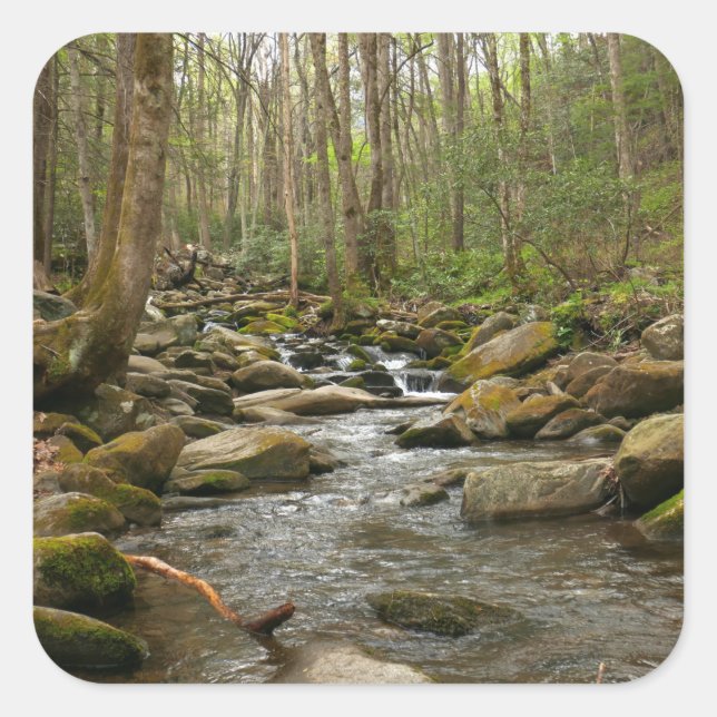 LeConte Creek at Great Smoky Mountains Square Sticker (Front)