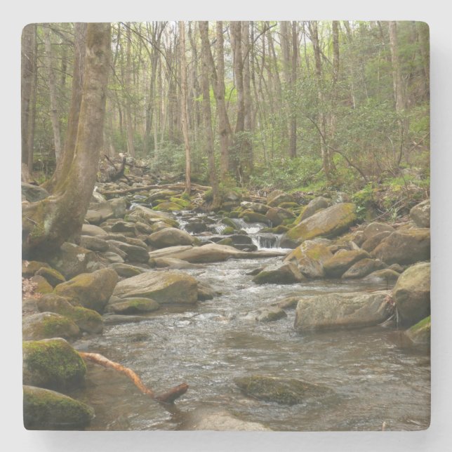 LeConte Creek at Great Smoky Mountains Stone Coaster (Front)