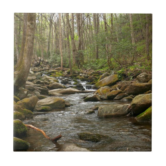 LeConte Creek at Great Smoky Mountains Tile (Front)