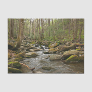 LeConte Creek at Great Smoky Mountains Tissue Paper
