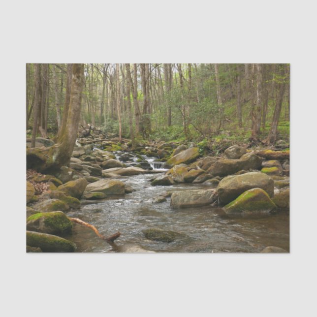 LeConte Creek at Great Smoky Mountains Tissue Paper (Front)