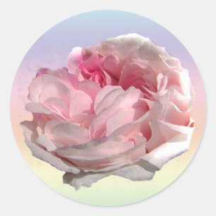 Leda Rose Garden Flower Floral Classic Round Sticker