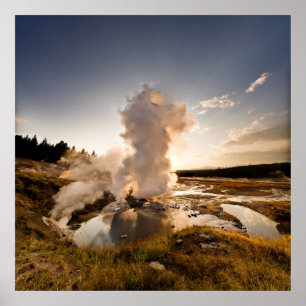 Ledge Geyser, Norris Geyser Basin Poster