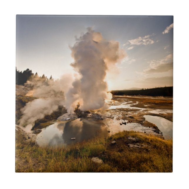 Ledge Geyser, Norris Geyser Basin Tile (Front)