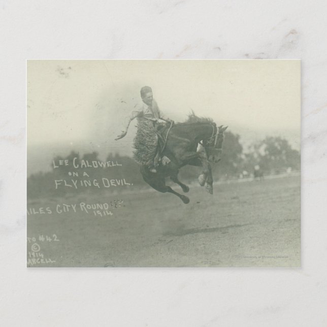 Lee Caldwell riding Flying Devil. Postcard (Front)