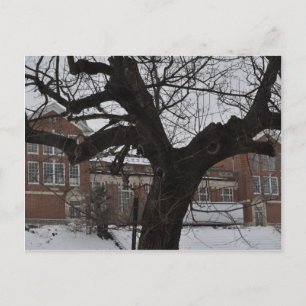 Lee High Postcard