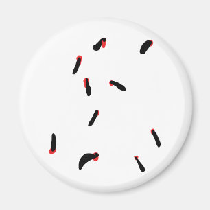 leech - bloodsuckers magnet