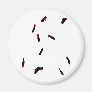 leech - bloodsuckers magnet