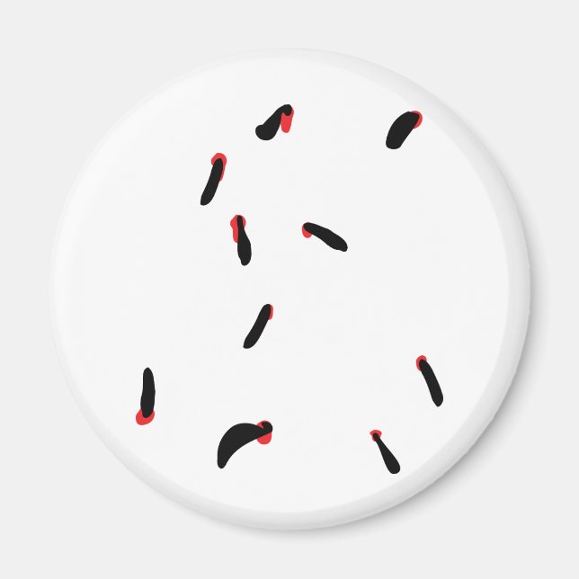 leech - bloodsuckers magnet (Front)