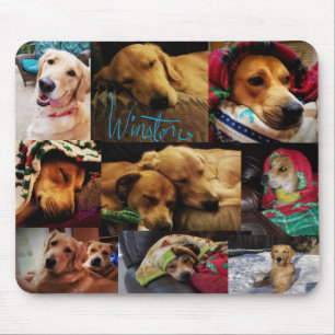 Leeloo & Winston Montage Mousepad