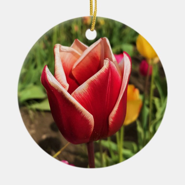 Leen Van Der Mark Tulip, Oregon Ceramic Tree Decoration (Front)