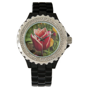 Leen Van Der Mark Tulip, Oregon Watch