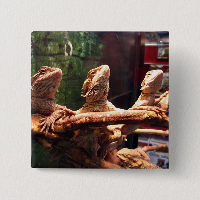 Leezard Trio 15 Cm Square Badge (Front)
