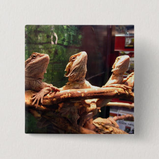 Leezard Trio 15 Cm Square Badge