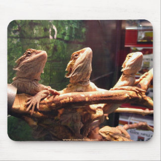 Leezard Trio Mouse Mat