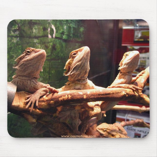 Leezard Trio Mouse Mat (Front)